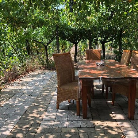 Szendergo - Apartman Hajos Pincefalu Esterno foto